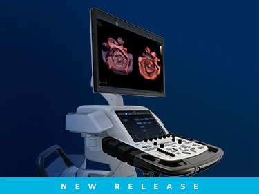 激安な Series E Vivid Ultra (Japan) HealthCare GE | Edition その他