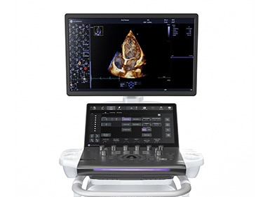 Vivid Pioneer | GE HealthCare (Japan)