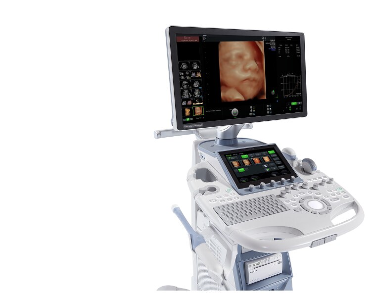 OVAL VISION タッチパネル式 中周波・高周波治療器 超音波骨折治療器「アクセラスmini」製品情報 | 日本シグ