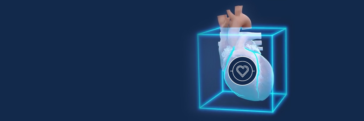 SnapShot Freeze 2 | GE HealthCare (Japan)