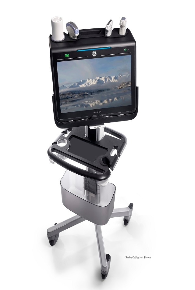 Venue Go™ GE Healthcare (Japan)