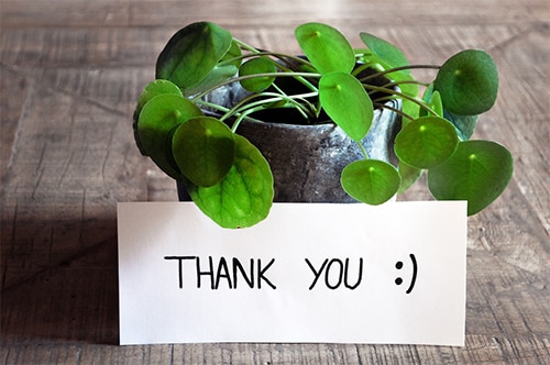 Form_smthanks4