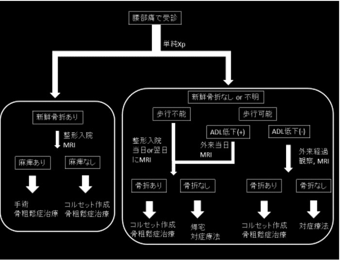 骨粗鬆症性椎体骨折における全身DXA法の有効性 | GE HealthCare