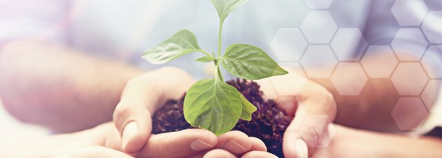 CT造影理論 | 市川智章 |本 | 通販 | Amazon