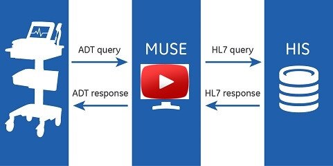 product-product-categories-diagnostic-ecg-cardio data-muse v9-muse v9 workflow new.jpg